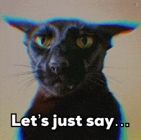 Black Cat GIF