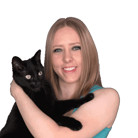 Black Cat Sticker