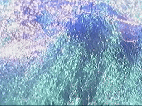 Footage Oaf GIF by jorgemariozuleta