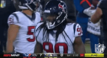 houston texans football GIF by NFL