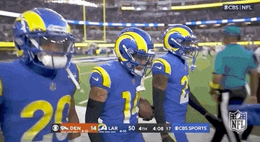 Los Angeles Rams Football GIF by NFL