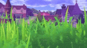 nintendo switch pokemon shield GIF