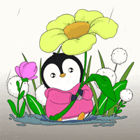 Raining Waiting For You GIF by Pudgy Penguins