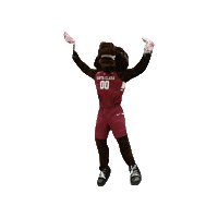 Santa Clara University Bucky Sticker by Santa Clara Broncos