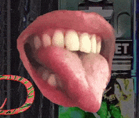 Fat Cat Love GIF by Dobbi Apparel