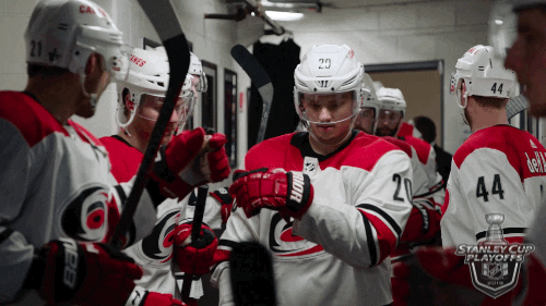 ice hockey fist bump GIF by NHL