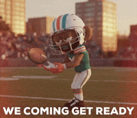 Miami Dolphins Football GIF by TMKNFT