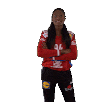 Ffhandball Sticker by Fédération Française de Handball