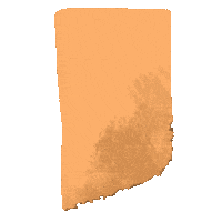 Vintage Learn Sticker by Demic