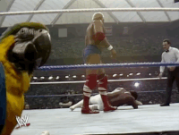 wrestlemania iii wrestling GIF by WWE
