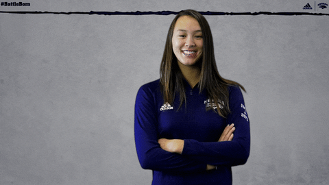 NevadaWolfPack giphyupload swim dive wolfpack GIF