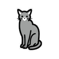 moffme cat pet 猫 ペット Sticker