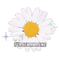 Peaceminusone Pmo Sticker