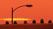 Steven Spielberg 80S GIF