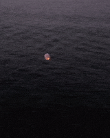 Unfulfilled Wishes Pt. 2