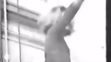 lgbt trans transgender lgbtqia 1973 GIF