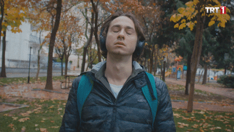 Dizi Trt1 GIF by Tüplü Televizyon