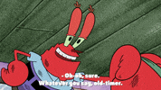 episode 7 plankton retires GIF by SpongeBob SquarePants