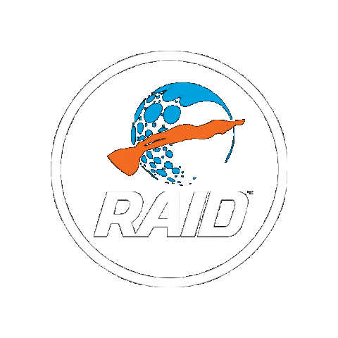DiveRaid giphygifmaker logo sticker dive Sticker