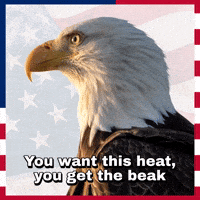 Get Some July 4Th GIF by U.S. Fish and Wildlife Service