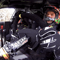 Erc Dashcam GIF by FIA European Rally Championship