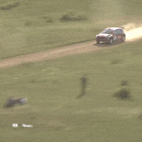 Erc Driving GIF by FIA European Rally Championship