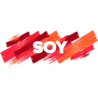 Comunidadccch Sticker by CCCH