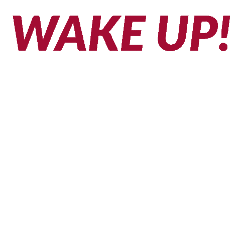 Wake Up Gameday Sticker by Arkansas Alumni Association