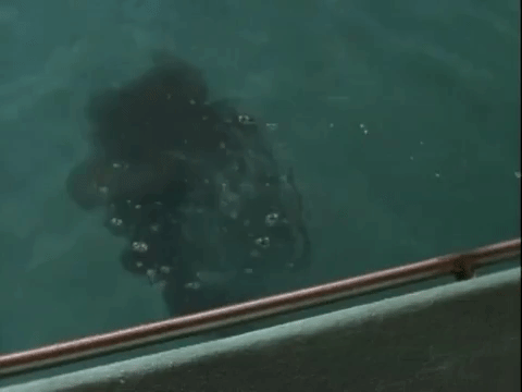 nickrewind giphydvr nicksplat are you afraid of the dark the tale of the dead mans float GIF
