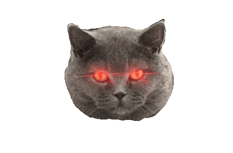 Meow Get It Sticker by Marcel Katz / The Art Plug