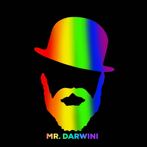 mrdarwini pride beard mr beardpride GIF