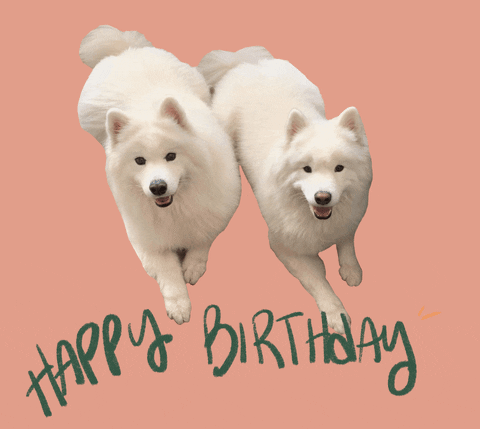 Happy Birthday Dog GIF