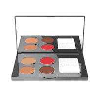 Makeup Palette Sticker by CHADO