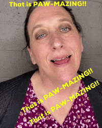 pawsaroundmotown pam paws around motown that is paw-mazing GIF