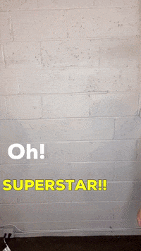 Superstar Pam GIF by Paws Around Motown