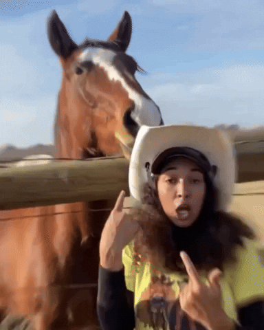 Horse Ill Be Here GIF