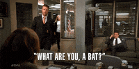 Season 19 Nbc GIF by Law & Order