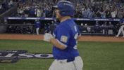 Celebrate Home Run GIF by Toronto Blue Jays