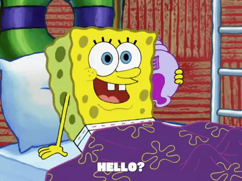 season 6 gullible pants GIF by SpongeBob SquarePants