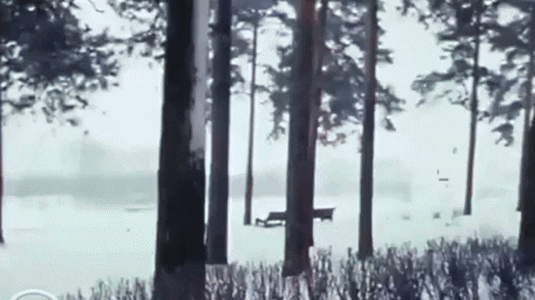 denisromantsov giphyupload GIF