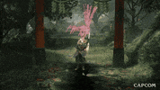 Video Game Guardian GIF by CAPCOM