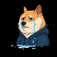 Sad Shiba Inu GIF by Doge Pound