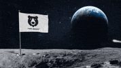 Plant Based Coffee GIF by @twobearscoffee