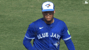 Baseball Try Again GIF by Toronto Blue Jays