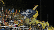 South Carolina Soccer GIF by Charleston Battery