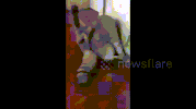 time tree GIF