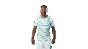 Goal Yes Sticker by SpVgg Greuther Fürth