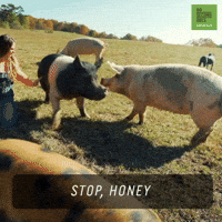 Happy Fight GIF by 60 Second Docs