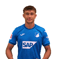 Sport Ok Sticker by TSG Hoffenheim