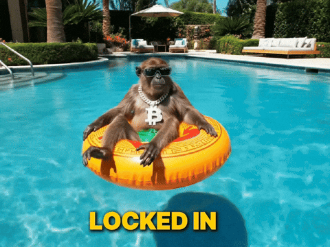 Monke GIF by Binance.US